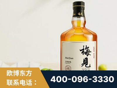 昭通-梅见青梅酒